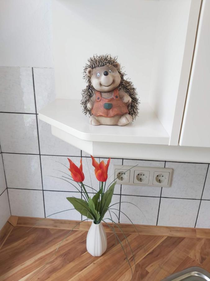 Hubis Ferienwohnung Olpe bei Meschede Екстериор снимка